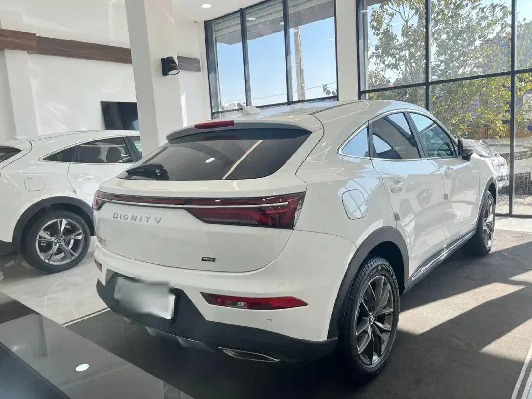 دیگنیتی پرایم سفید مشکی|خودرو سواری و وانت|اصفهان, شهرک صنعتی امیرکبیر (شاپور جدید)|دیوار