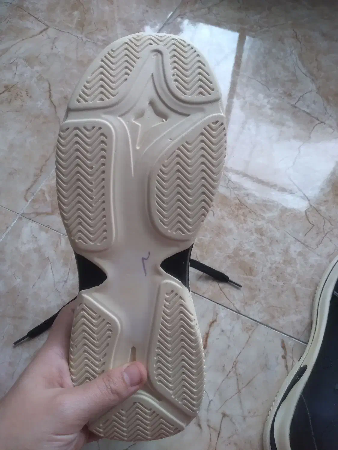 کتونی نو|کیف، کفش، کمربند|رشت, بیجارپس|دیوار