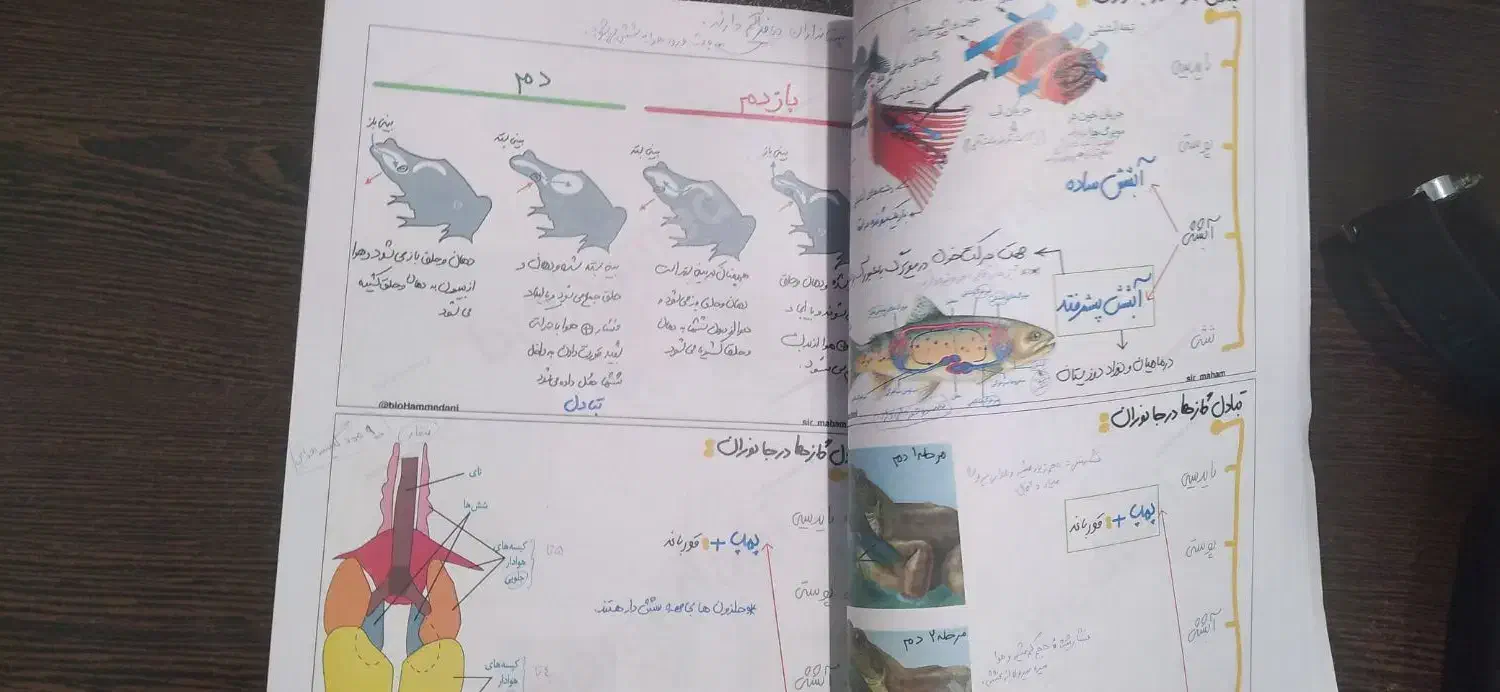 جزوه کل جانوری استاد همدانی|کتاب و مجله آموزشی|قم, پردیسان|دیوار