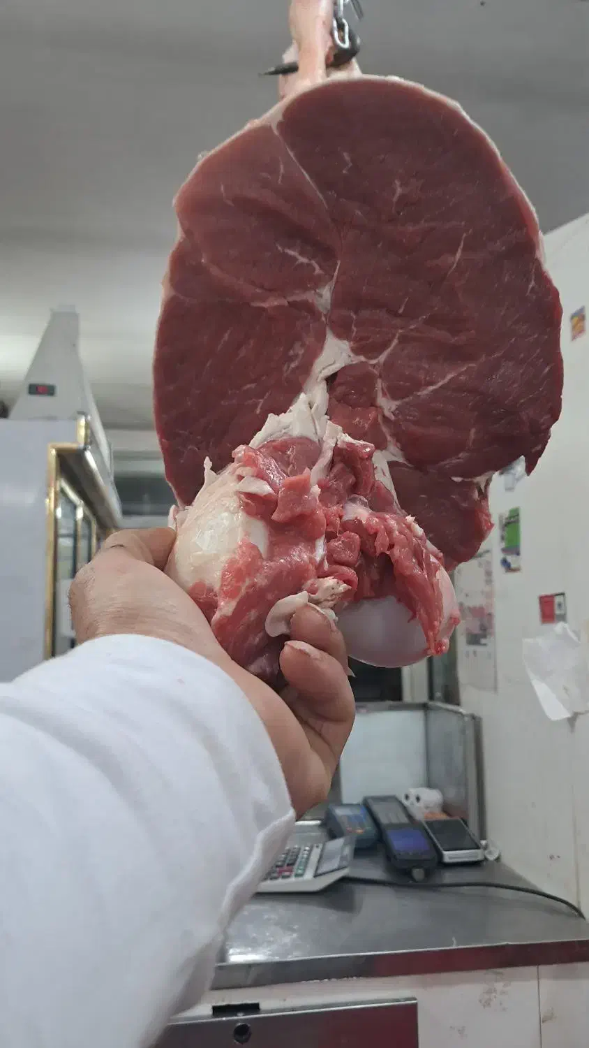 سلاخی رایگان|خدمات پیشه و مهارت|بجنورد, |دیوار