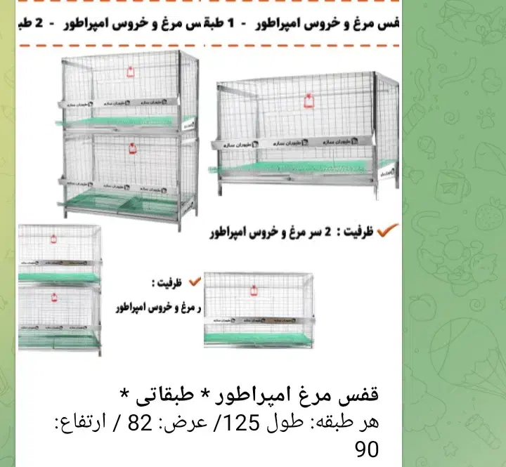 قفس مرغ و خروس برهما|لوازم جانبی حیوانات|رشت, بلوار گیلان|دیوار