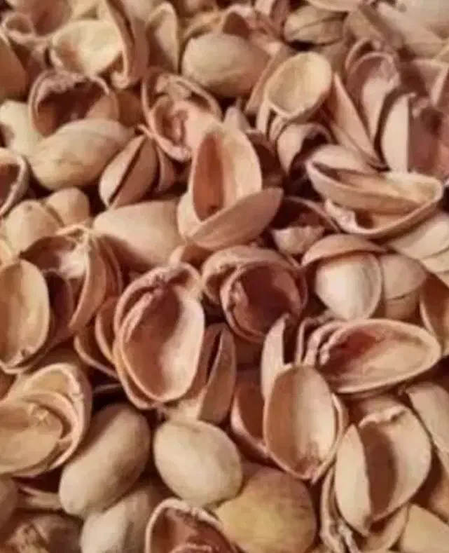پوست پسته بادام گردو تناژ نقدی|خدمات باغبانی و درختکاری|تهران, آبشار|دیوار