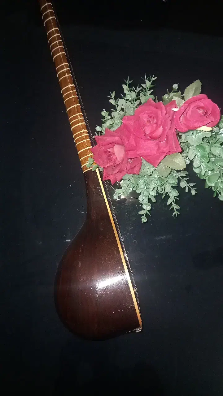 سه تار مفاخری (سفارشی ساخت)|سازهای سنتی|دزفول, |دیوار