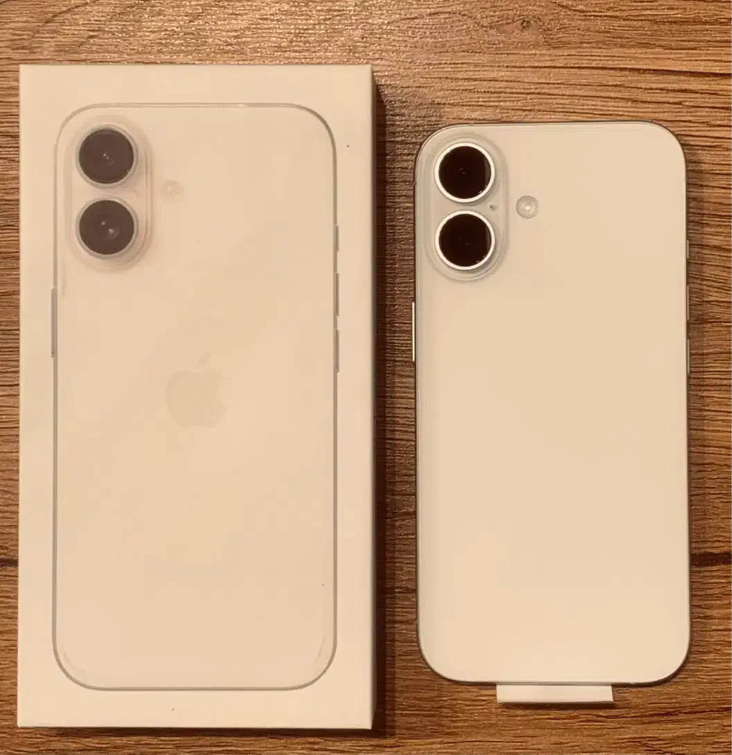 iphone 16 normal|موبایل|مشهد, بهشت|دیوار