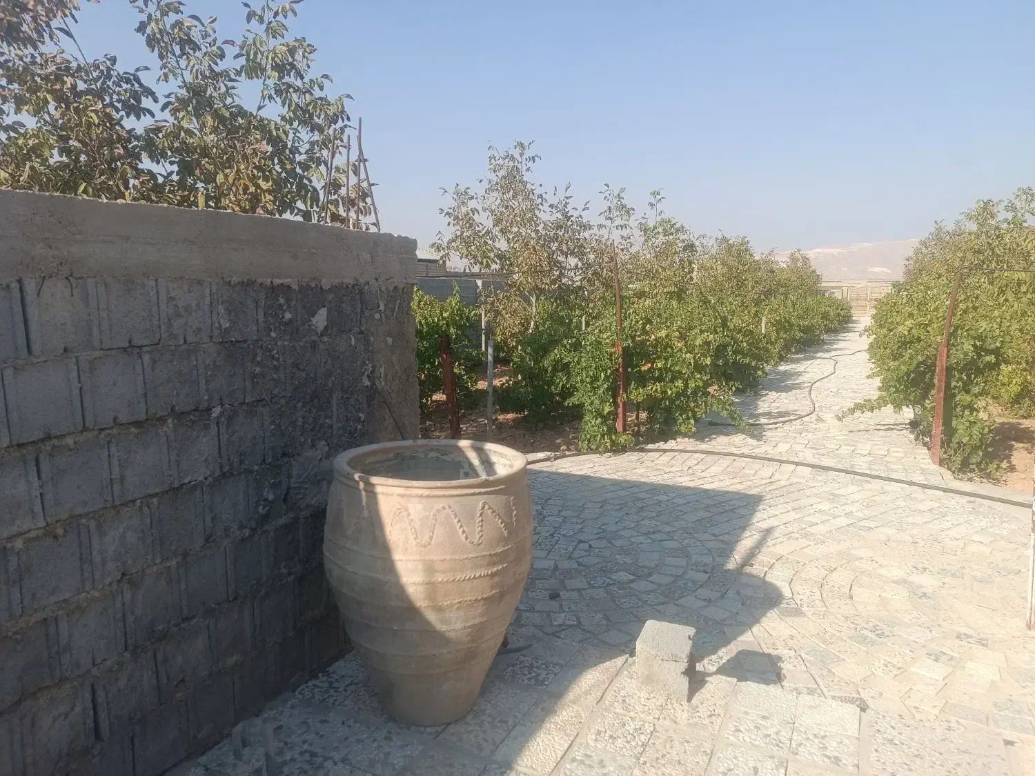 باغ در بیضا|فروش خانه و ویلا|بیضا, |دیوار