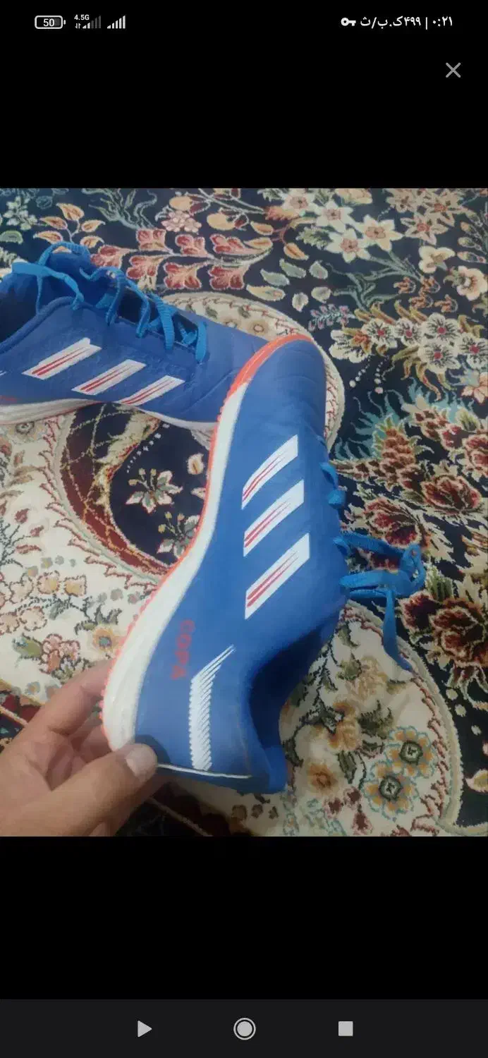 م ت ن.|کیف، کفش، کمربند|زابل, |دیوار