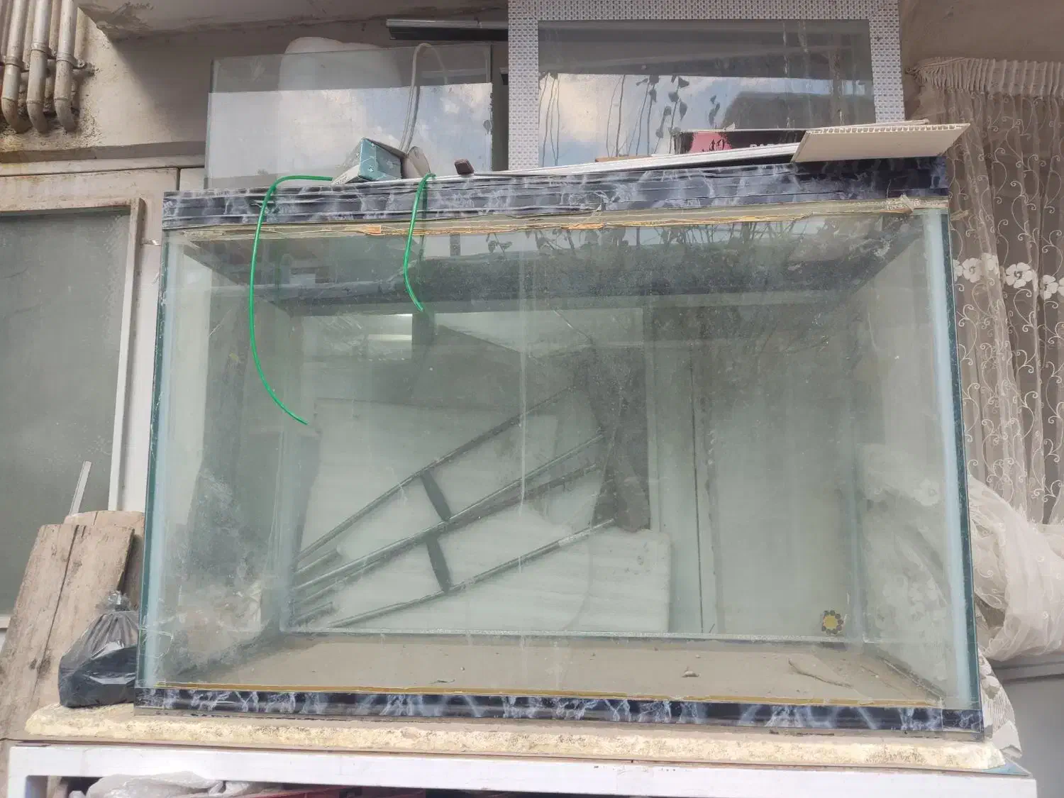 آکواریم|ماهی|اردبیل, |دیوار