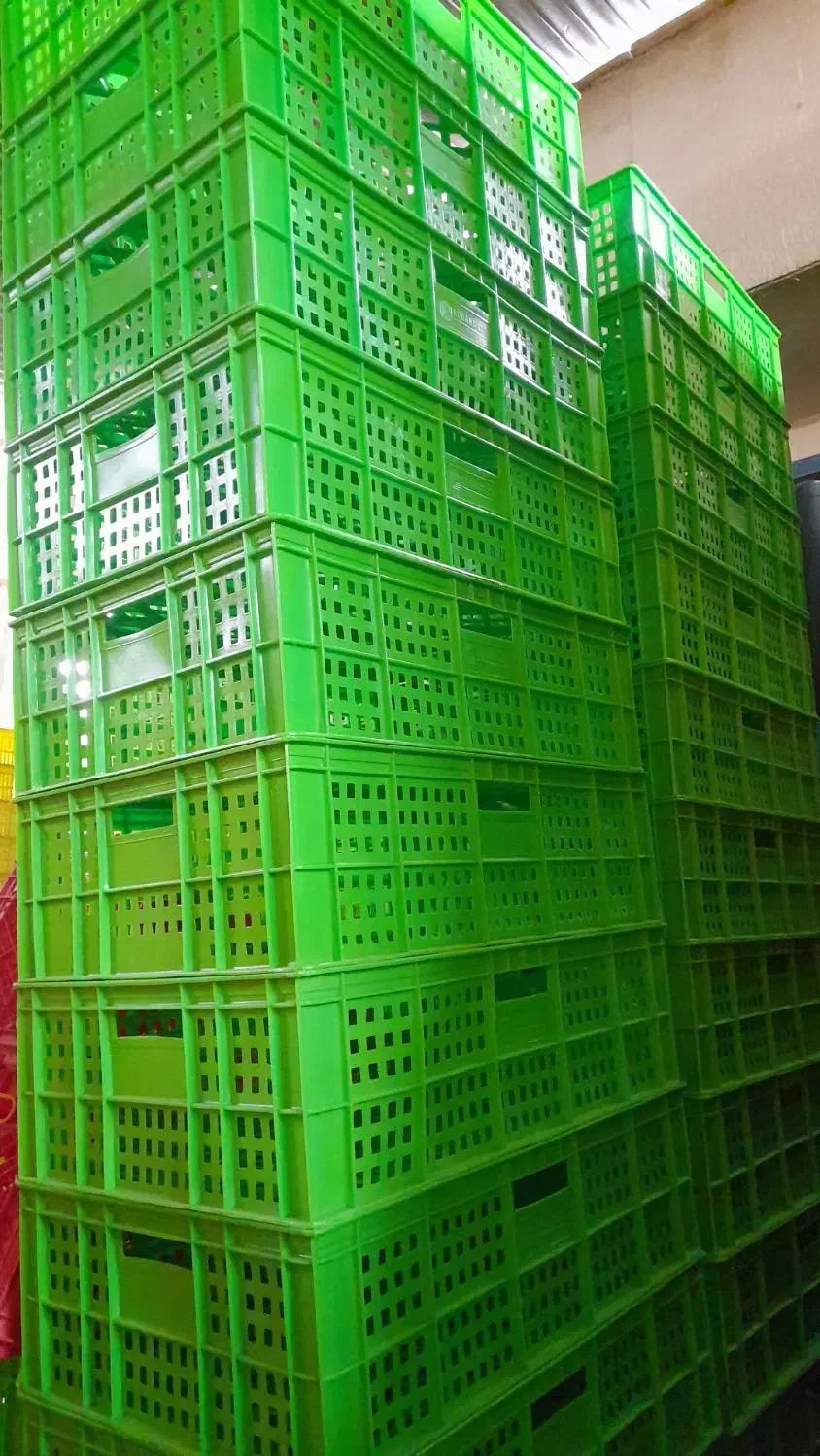 سبد باسکت گالن بشکه پالت وان گلدان مخزن پلاستیکی|عمده‌فروشی|شیراز, سایت اداری|دیوار