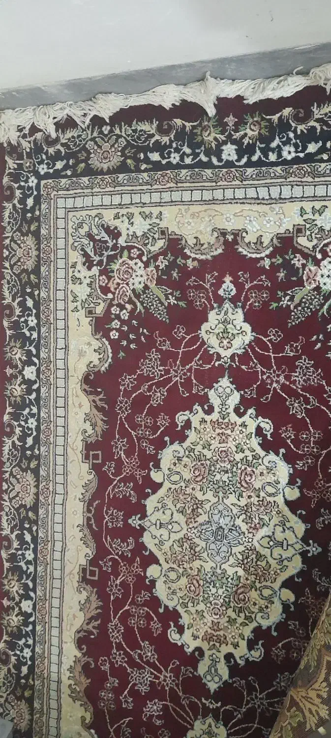 فرش قرمز (لاکی)|فرش|مرودشت, استادیوم‎|دیوار