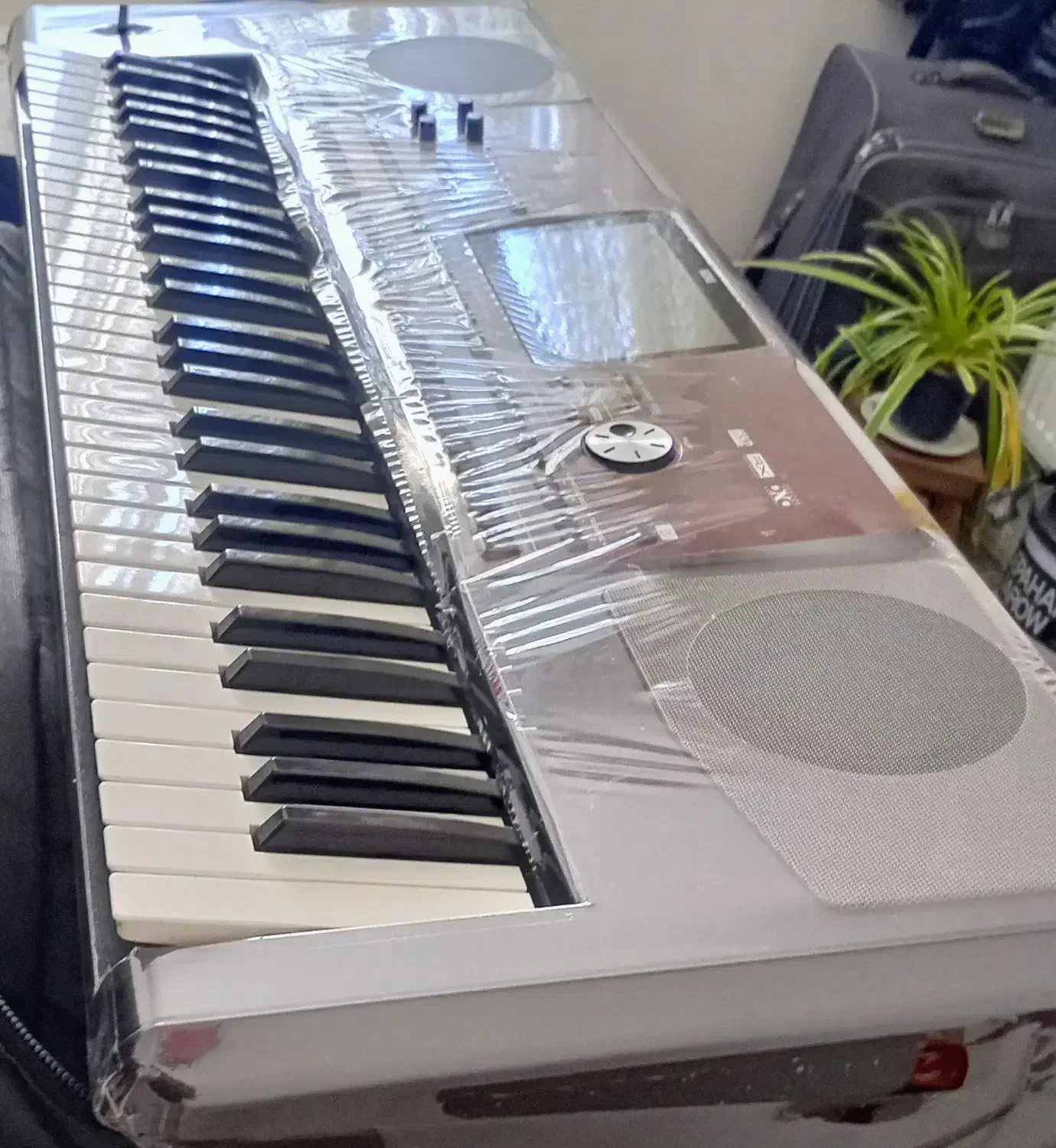 کیبورد pa700|پیانو، کیبورد، آکاردئون|زرقان, |دیوار