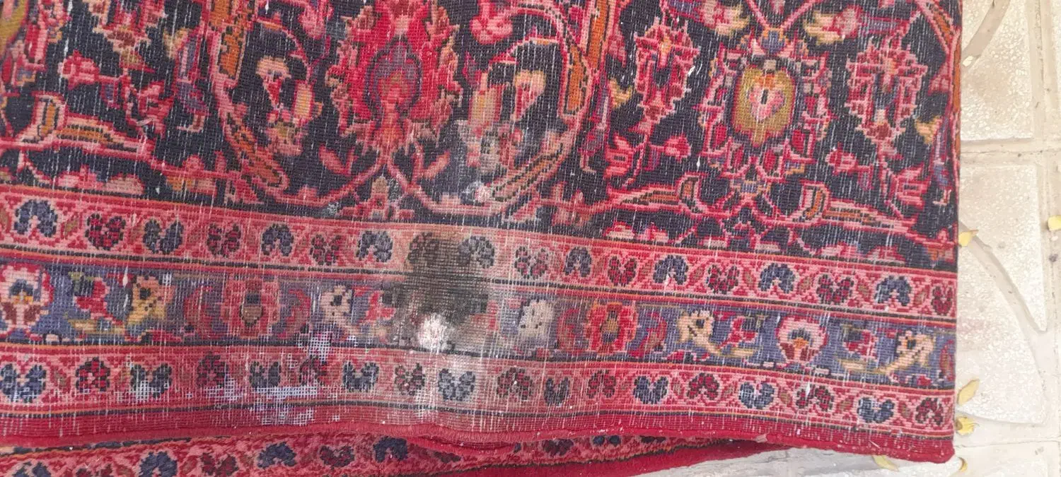 فرش دستباف ۱۲ متری|فرش|قم, دانشگاه قم|دیوار