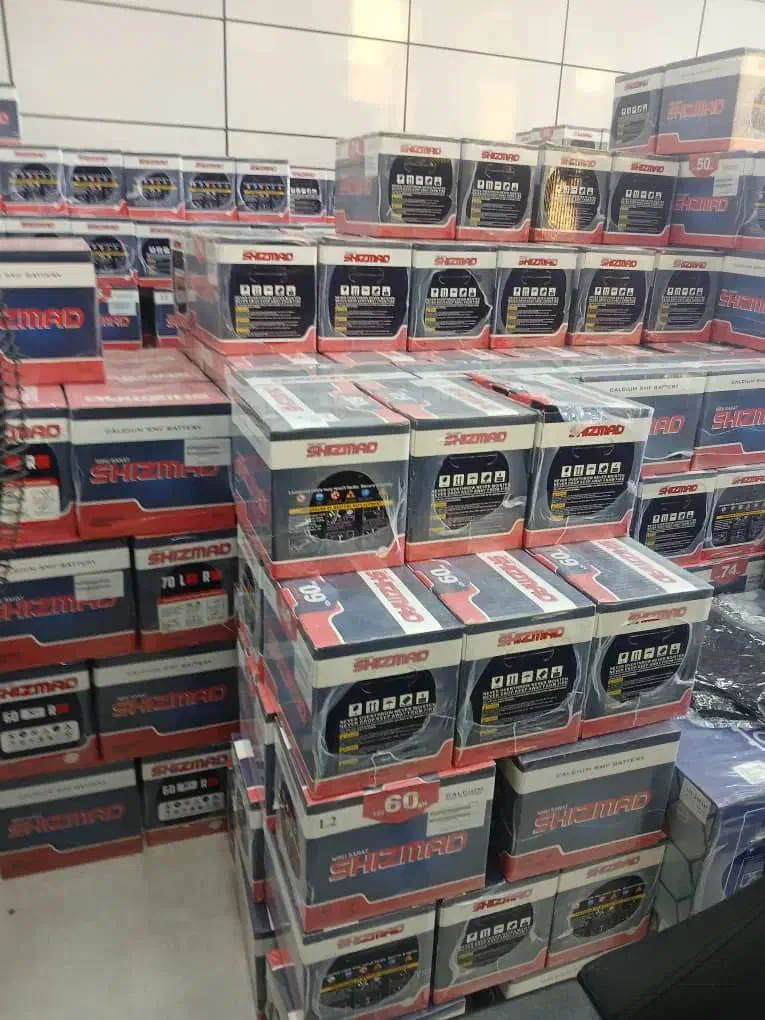 باطری دولتی(ارسال ونصب رایگان24ساعته)مارلیک فردیس|قطعات یدکی و لوازم جانبی|فردیس, فردیس|دیوار