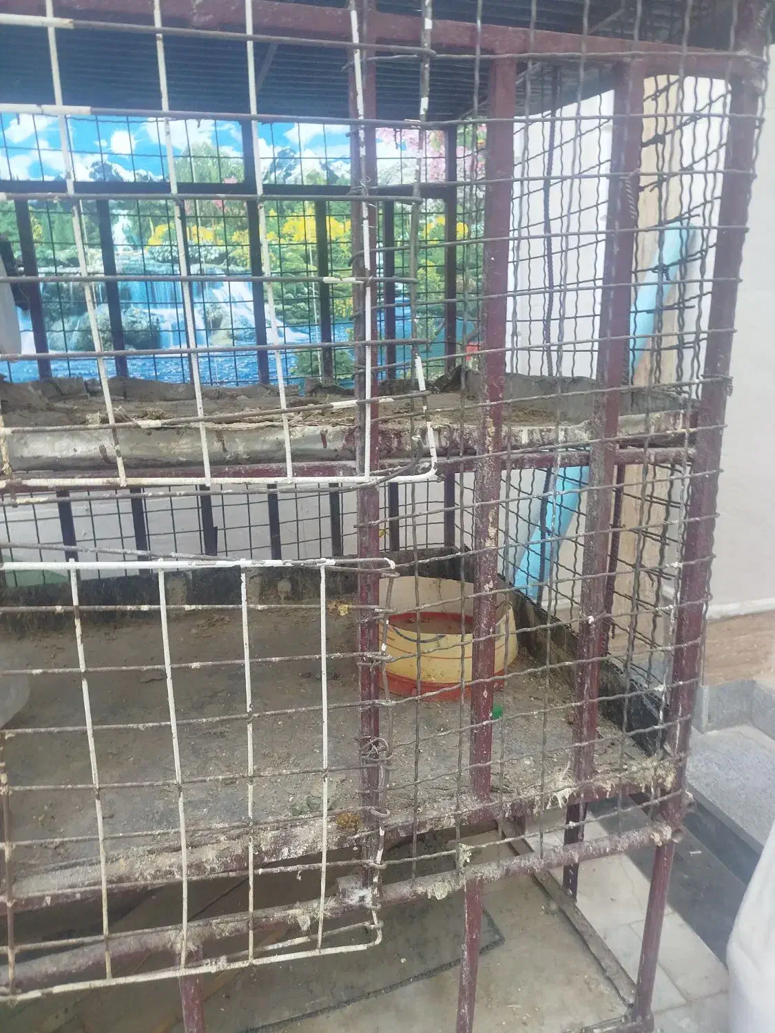 گاری قفس ضد گلوله|لوازم جانبی حیوانات|زاهدان, |دیوار