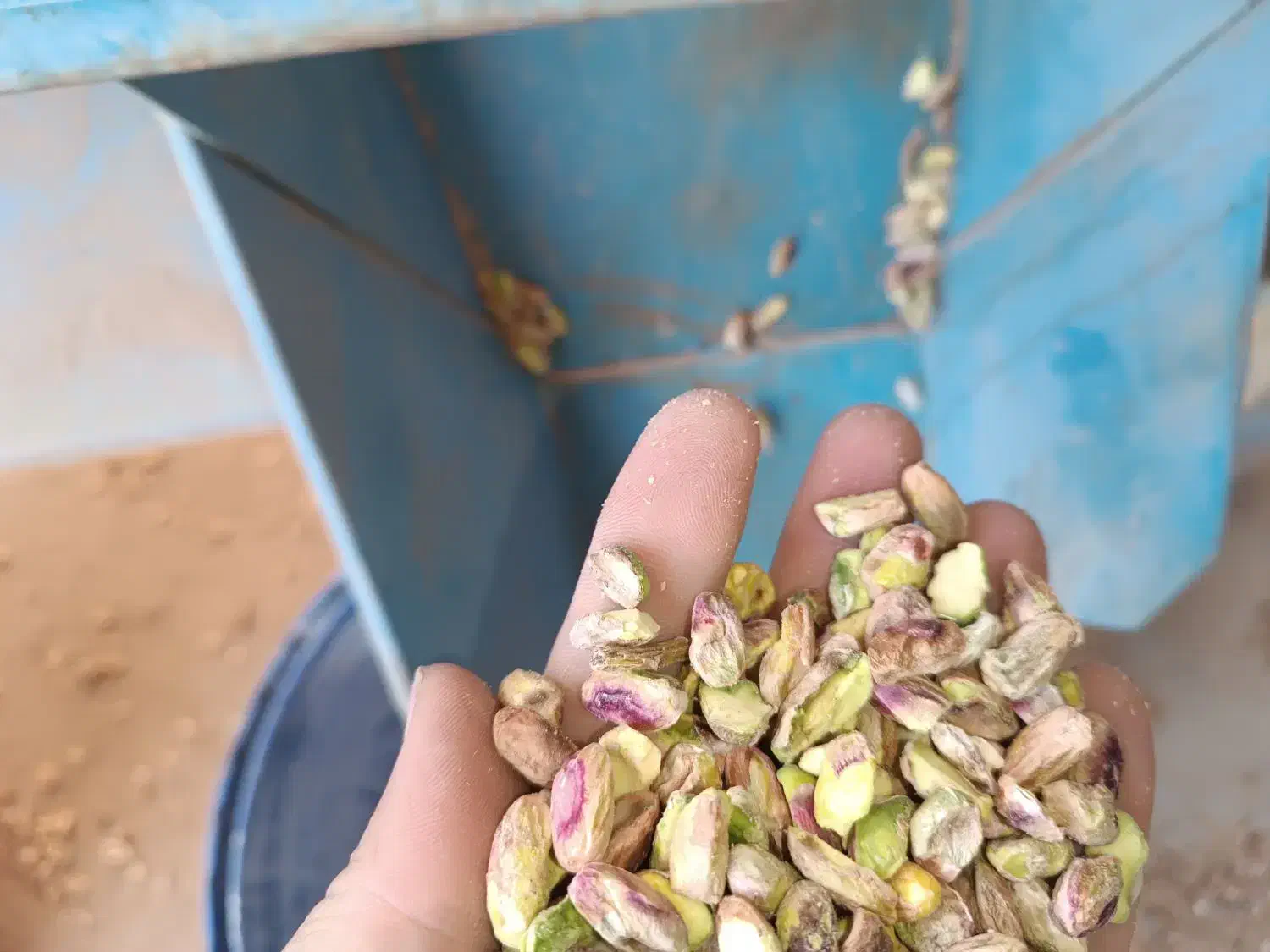 خدمات مغز کنی پسته تضمینی|خدمات پیشه و مهارت|تربت‌حیدریه, پائین ولایت|دیوار