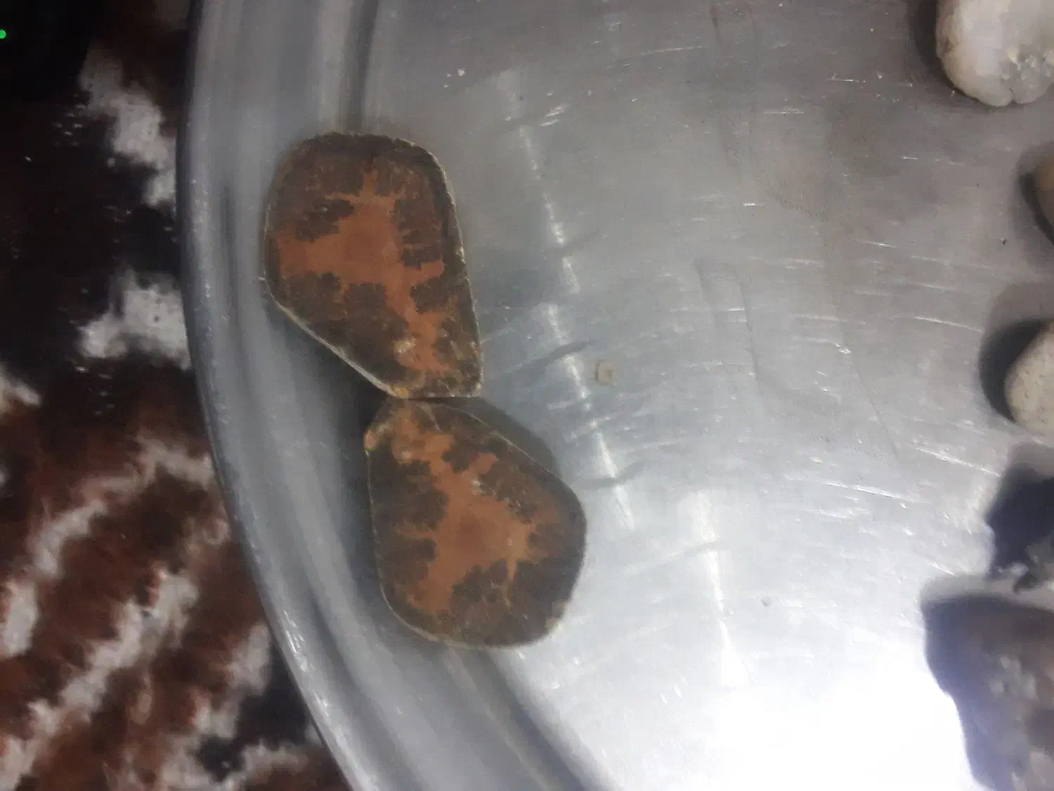 سنگهای خاص برای انگشتر وکلکسیون|جواهرات|تبریز, |دیوار