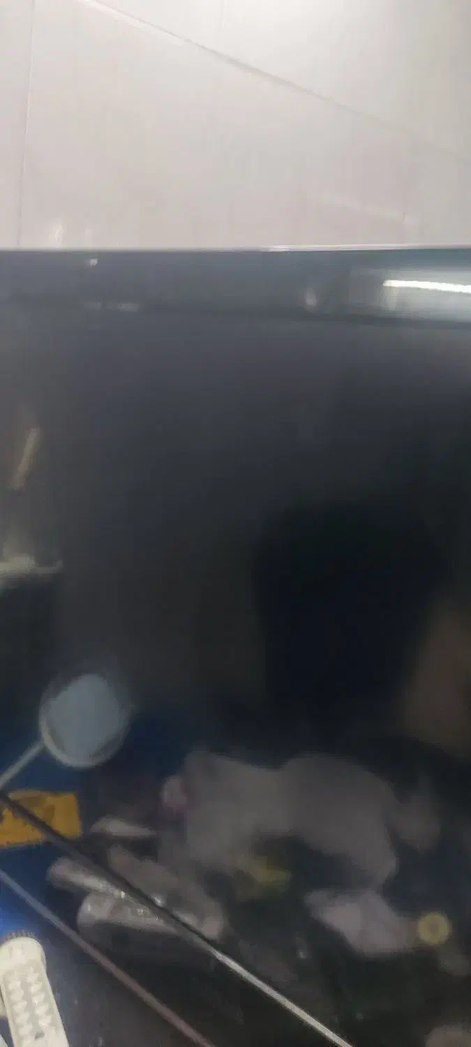 ال سی دی|تلویزیون و پروژکتور|کرج, پیشاهنگی|دیوار