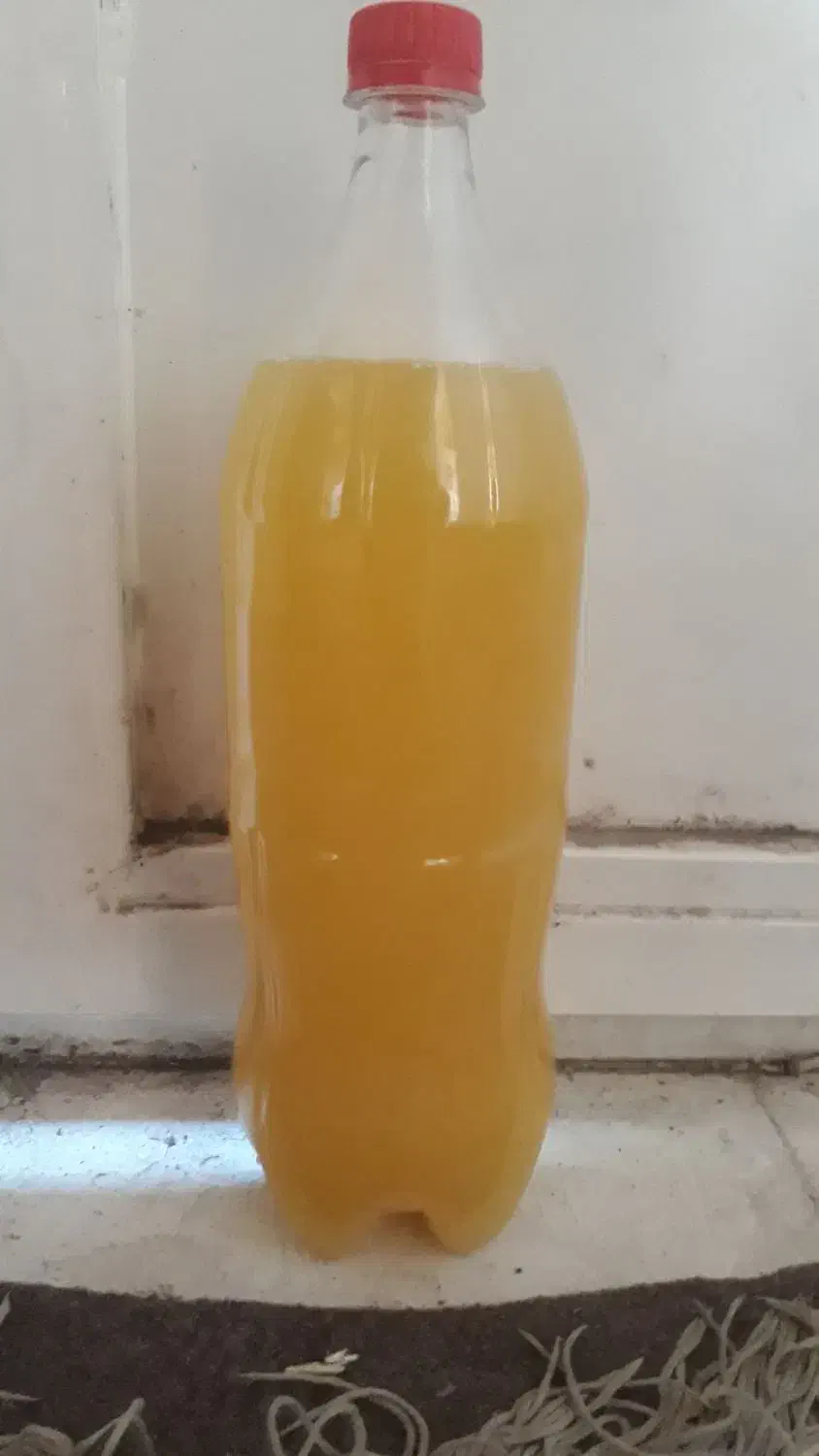 آب نارنج|خوردنی و آشامیدنی|مینودشت, |دیوار