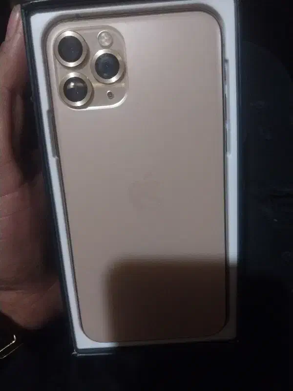 آیفون ۱۱پرو|موبایل|فردیس, فردیس|دیوار