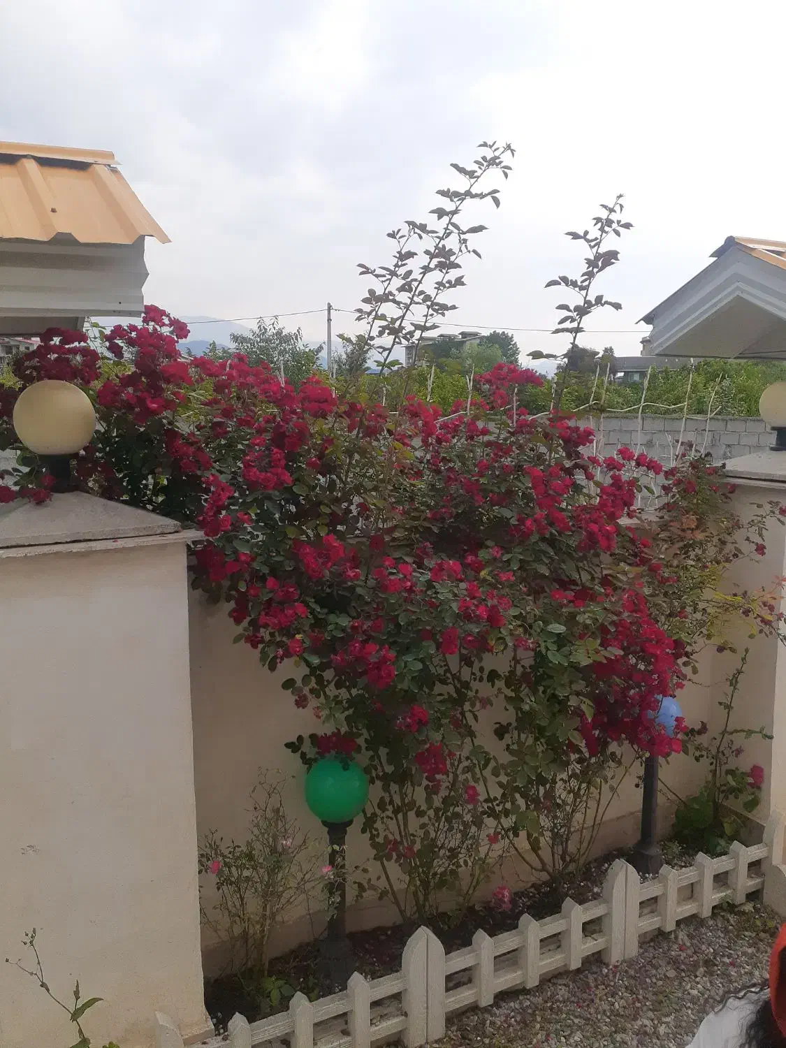 سالانه ملک اجاره ای رامسر ویلا دربستی|اجارهٔ خانه و ویلا|دالخانی, |دیوار