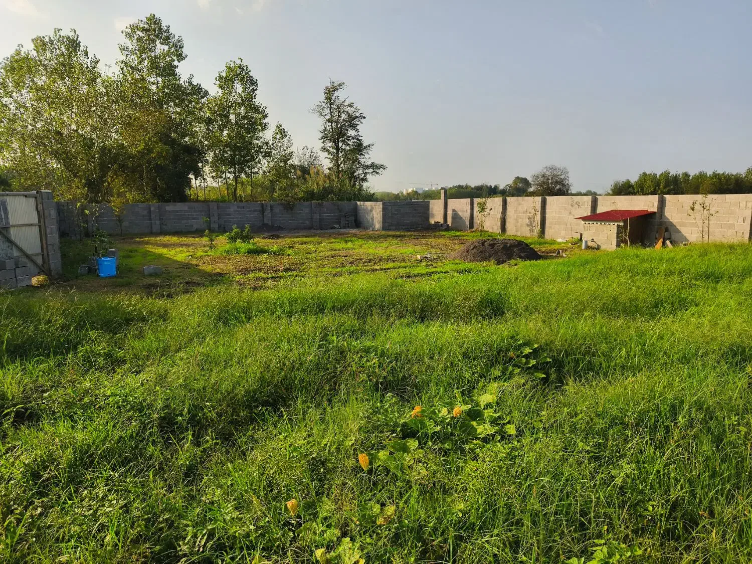 فروش زمین مسکونی|فروش زمین و ملک کلنگی|خمام, |دیوار