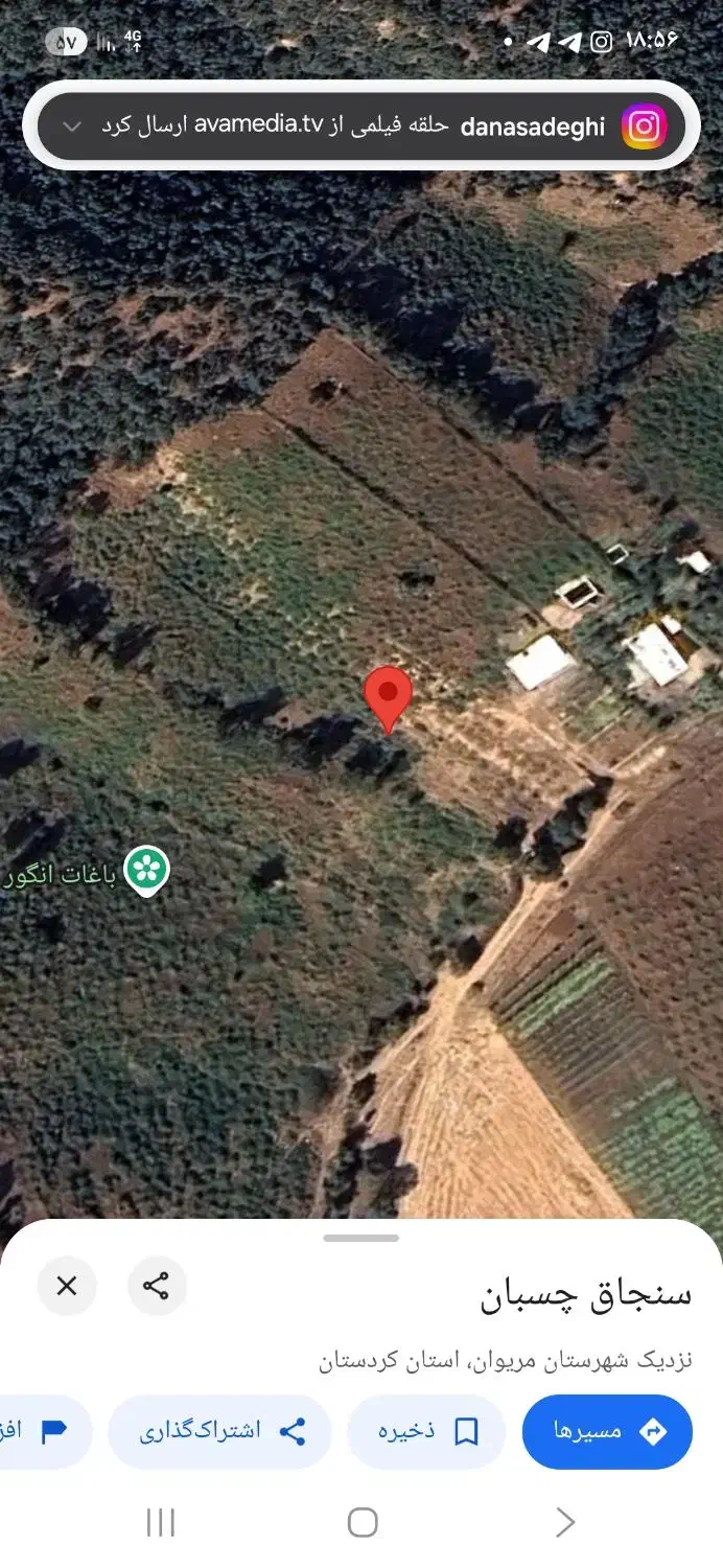 باغ انگور|فروش زمین و ملک کلنگی|خاو و میرآباد, |دیوار