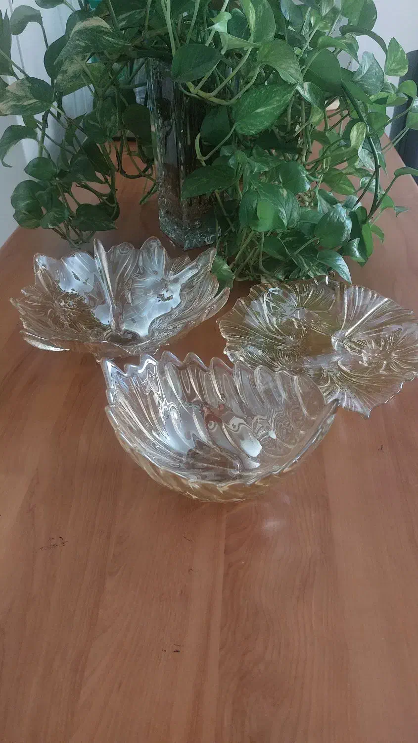 ظروف پذیرایی شامپاینی|ظروف سرو و پذیرایی|اندیشه, اندیشه فاز ۳|دیوار