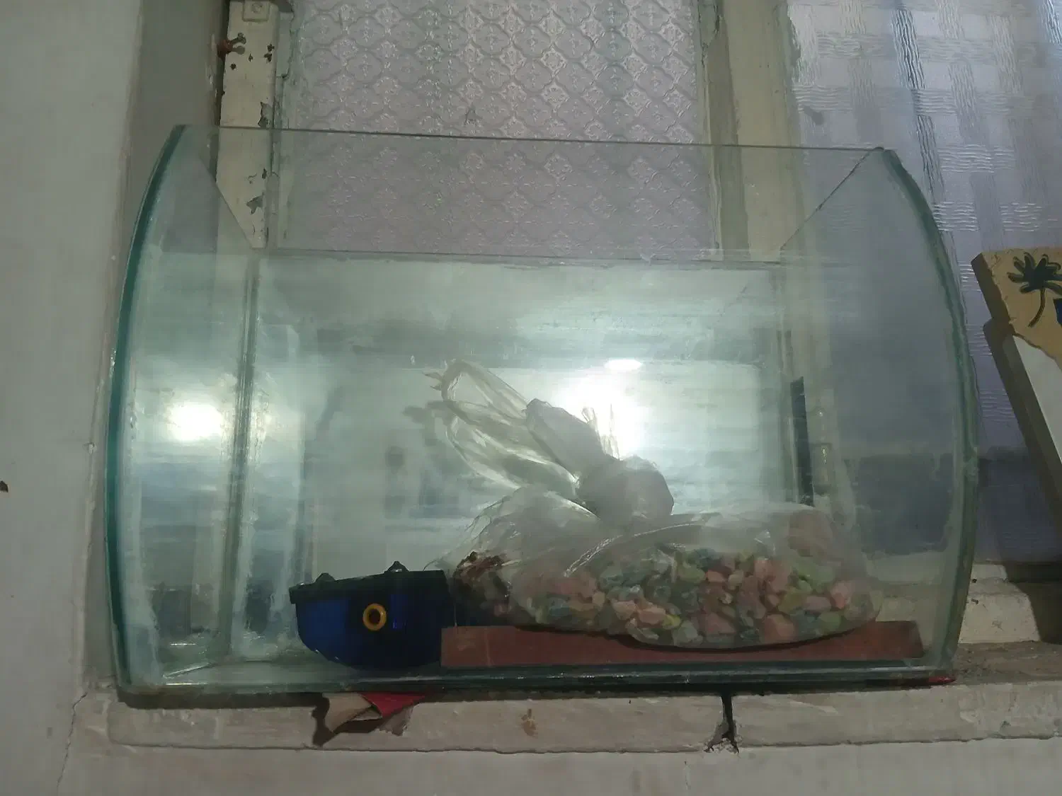 اکواریوم با ماهی۵ تا ماهی|ماهی|مشهد, رده|دیوار