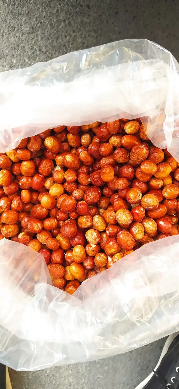 کشمش پلویی برگه زردالو کیلاس خشک الوچه|خوردنی و آشامیدنی|مشهد, توس (بلوار توس)|دیوار