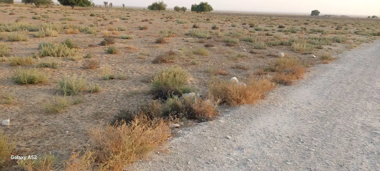 زمین چاه پیر|فروش دفتر صنعتی، کشاورزی، تجاری|اهرم, |دیوار