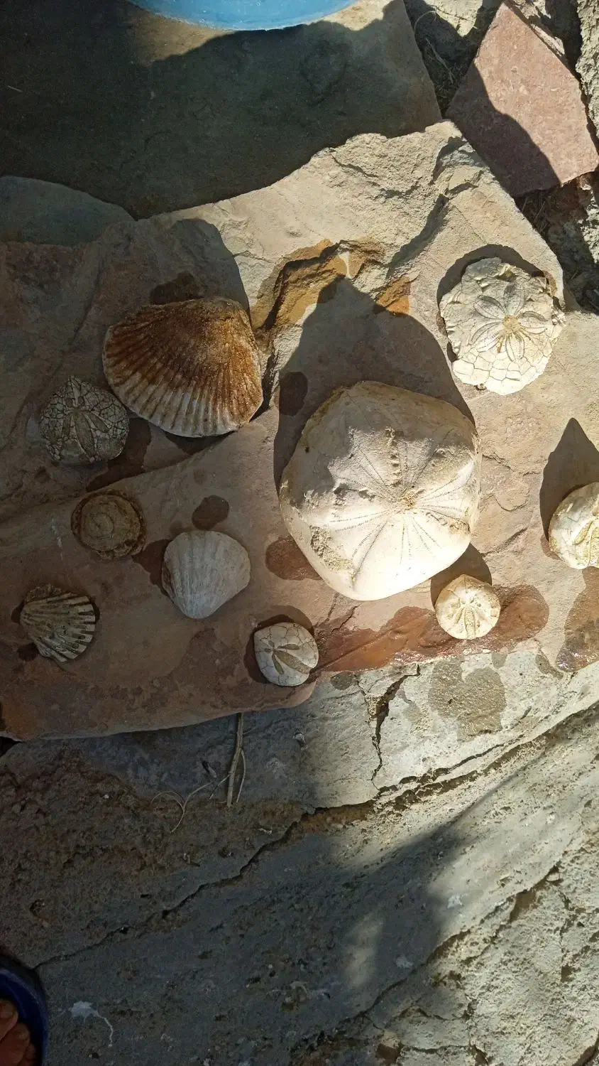 سنگهای کلکسیونی|کلکسیون اشیاء عتیقه|تکاب, |دیوار