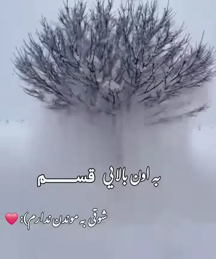 دنبال کار|فعالیت داوطلبانه|رشت, بوسار|دیوار