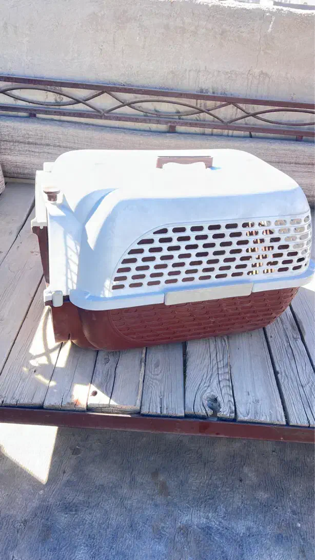 باکس حمل سگ های کوچک ، استاندارد پرواز|لوازم جانبی حیوانات|کرج, فاز ۲ مهرشهر|دیوار