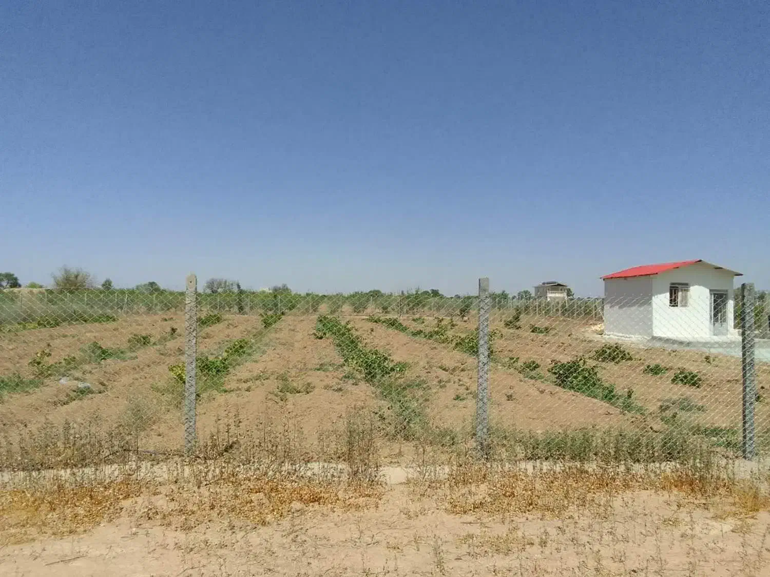 فروش2000متر زمین بابنای احداثی نقدو معاوضه وشرایطی|فروش زمین و ملک کلنگی|تاکستان, |دیوار