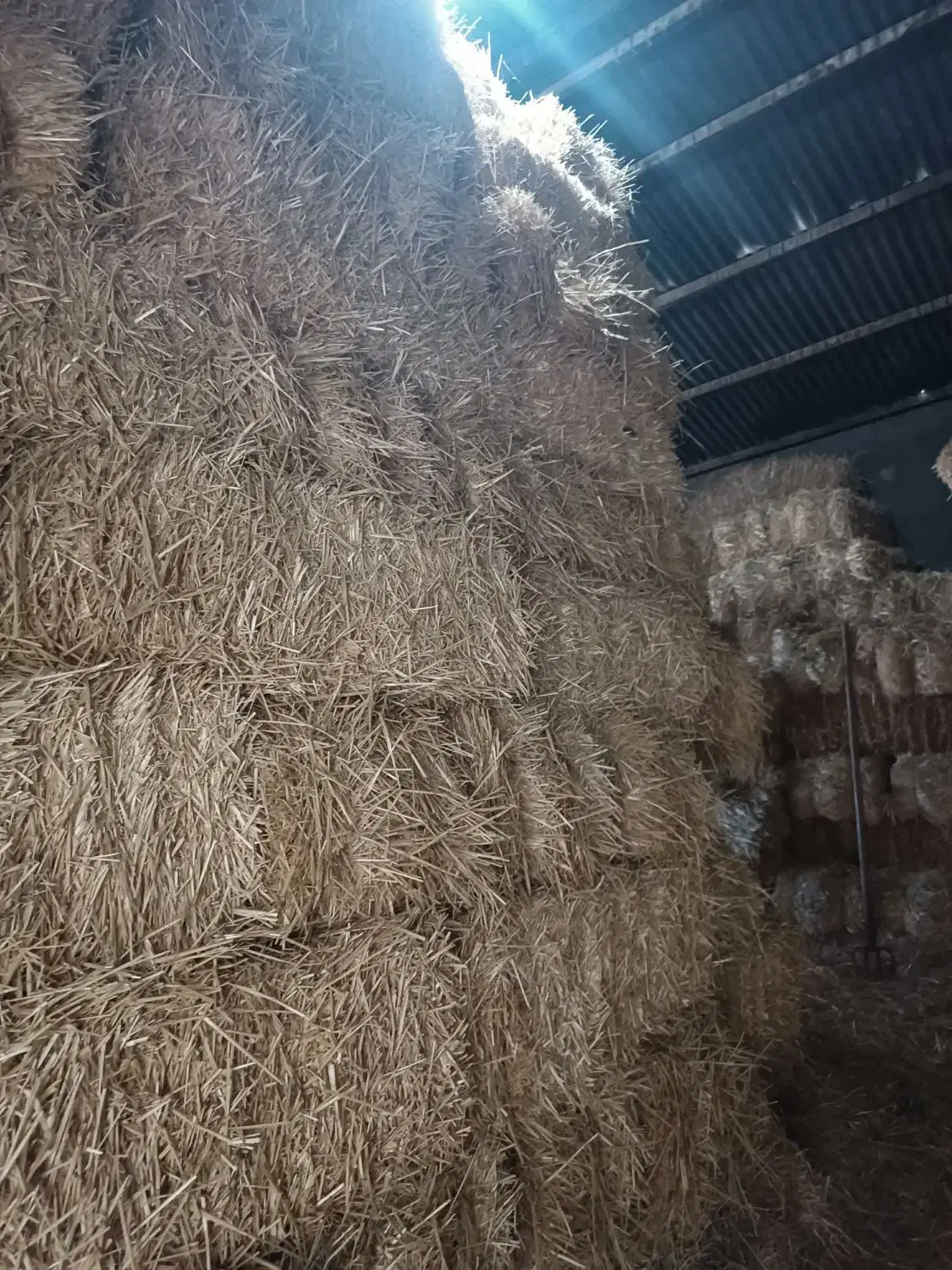 کاه|لوازم جانبی حیوانات|کبودرآهنگ, |دیوار