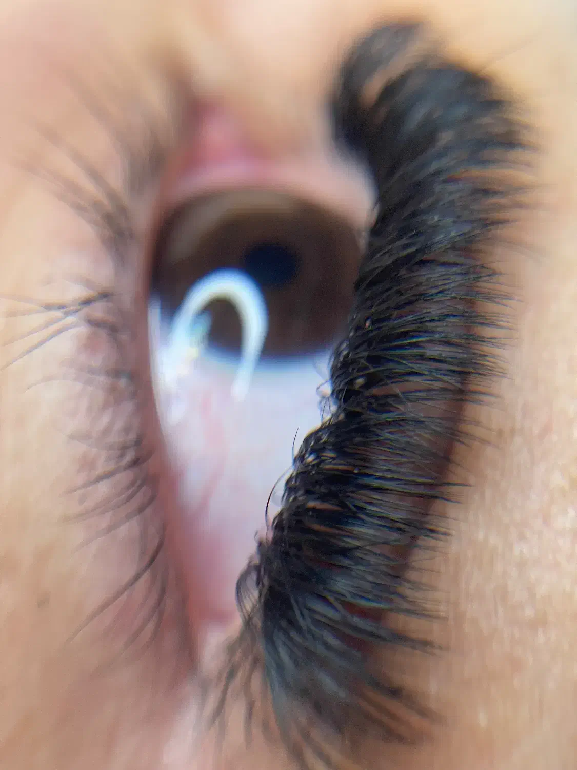 خدمات اکستنشن مژه|خدمات آرایشگری و زیبایی|آمل, |دیوار