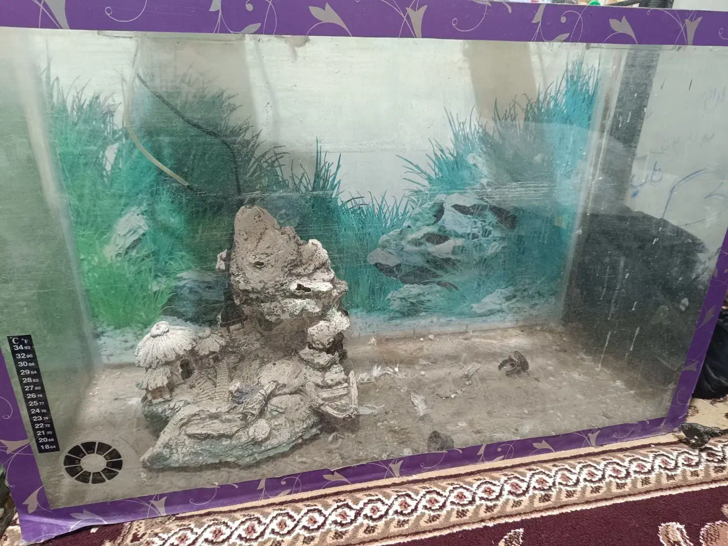 آکواریوم و لوازم جانبی برای نگهداری ماهی زینتی|ماهی|اردبیل, |دیوار