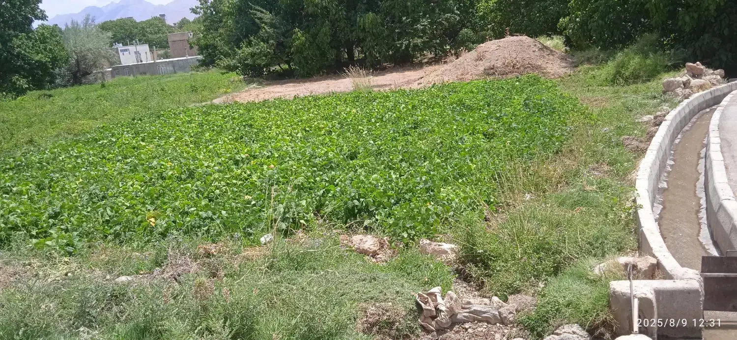 زمین فروشی|فروش زمین و ملک کلنگی|اقلید, |دیوار