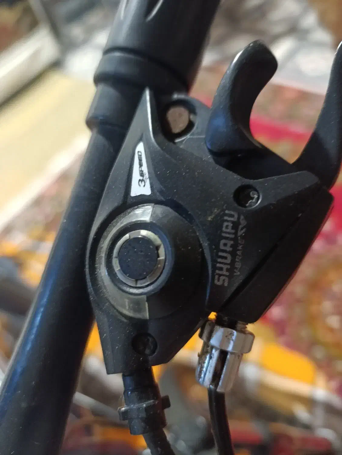 دوچرخه|دوچرخه، اسکیت، اسکوتر|شاندرمن, |دیوار