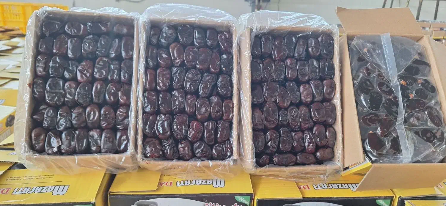 خرما درجه ۱|عمده‌فروشی|تکاب, |دیوار