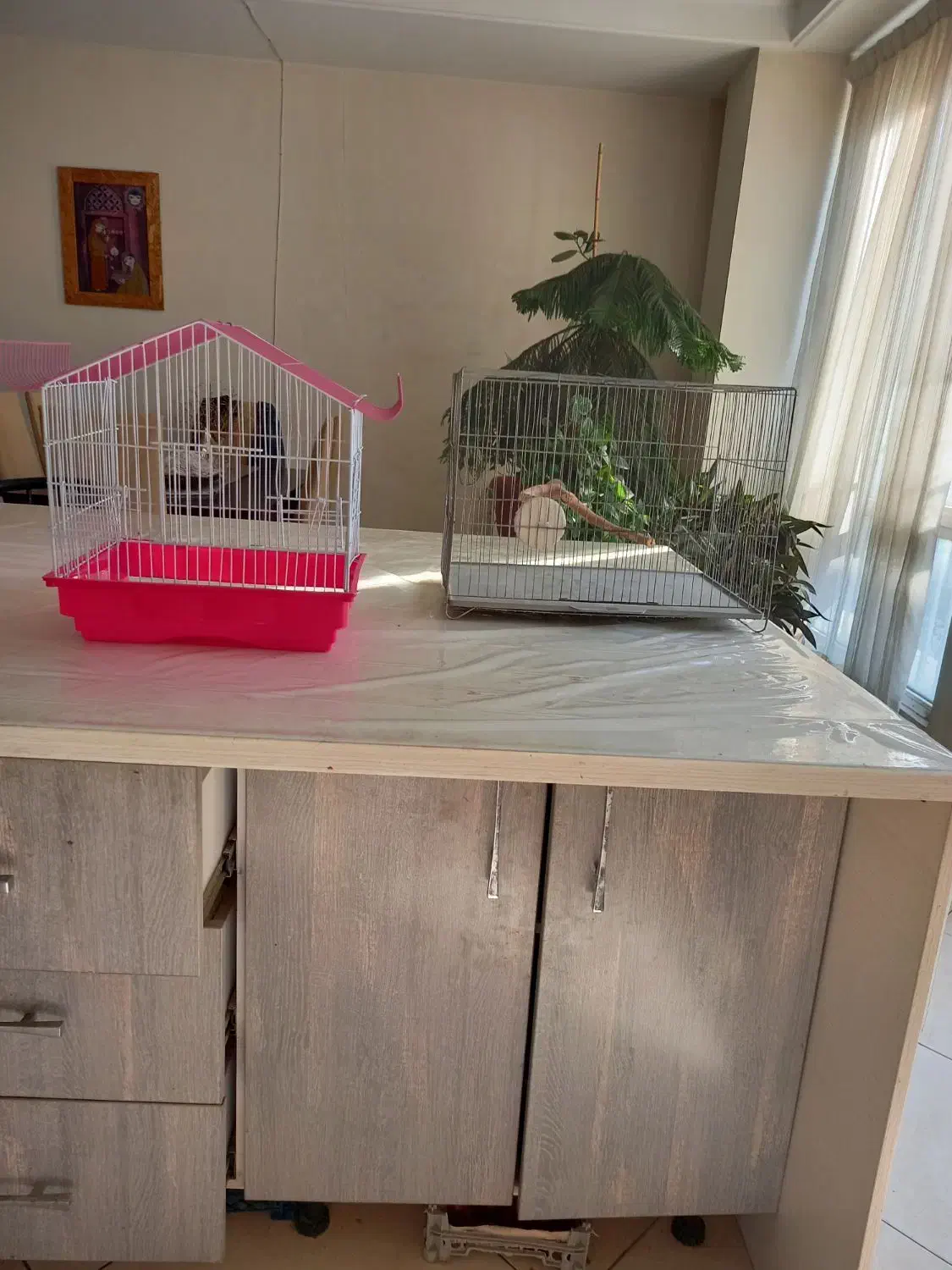 قفس پرنده|لوازم جانبی حیوانات|تهران, کوی بیمه|دیوار