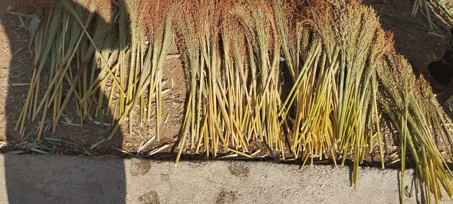 جارو|عمدهفروشی|ویسیان, |دیوار