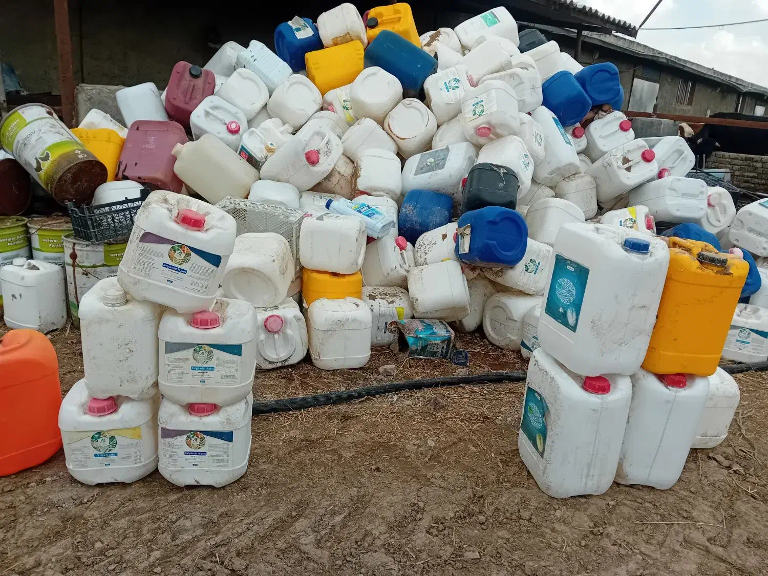 دبه|عمده‌فروشی|قوچان, |دیوار