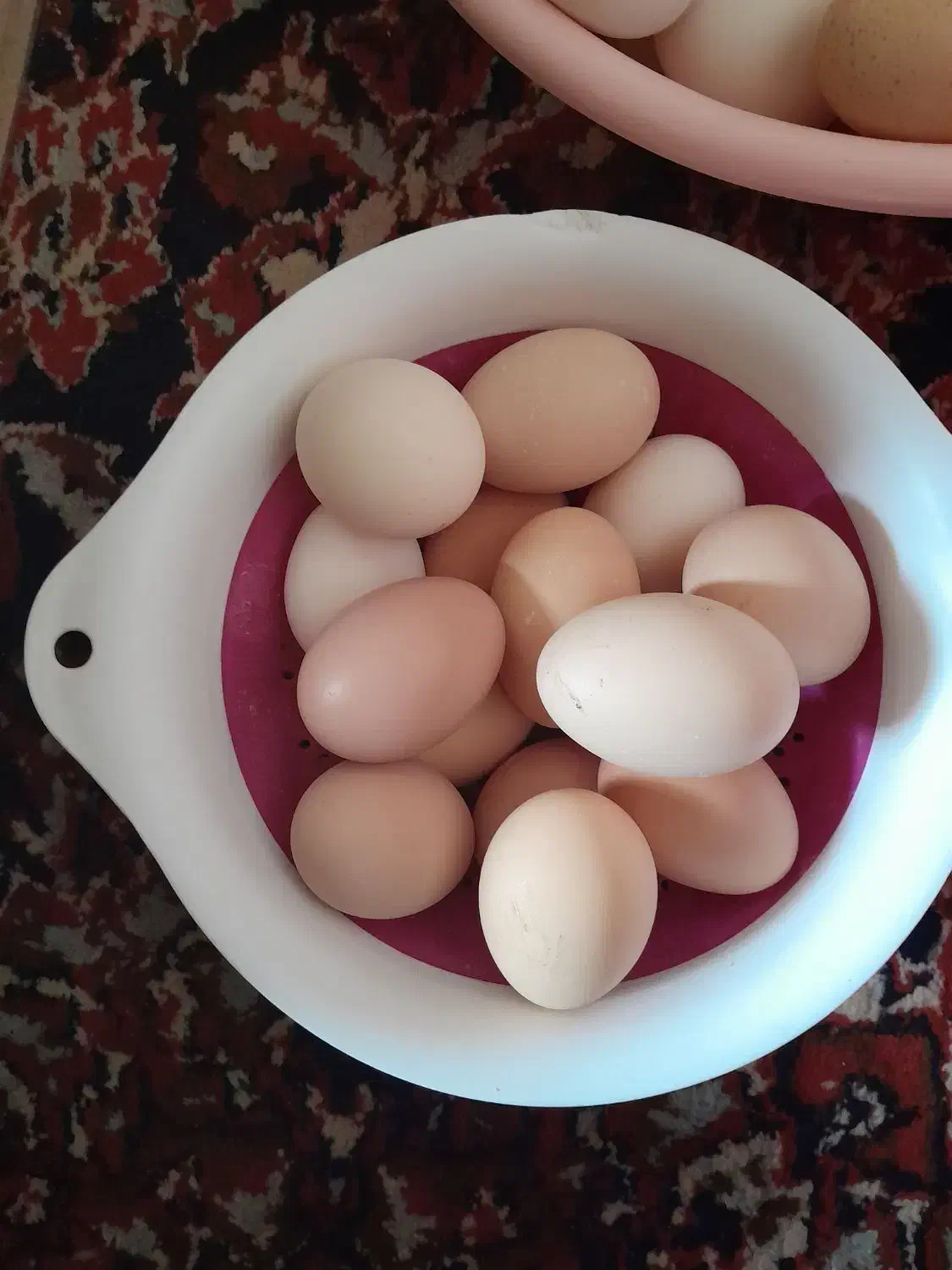 تخم مرغ محلی|خوردنی و آشامیدنی|خشکبیجار, |دیوار