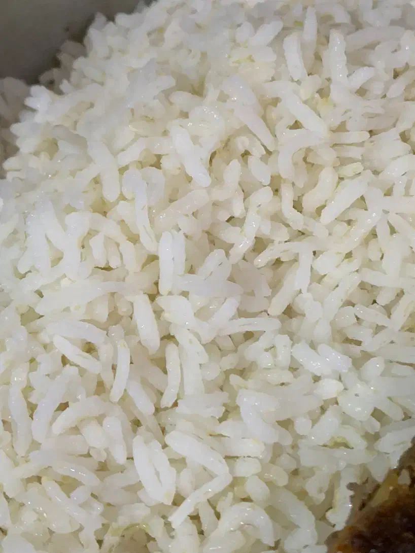 برنج کامفیروزی نو درجه یک|خوردنی و آشامیدنی|شیراز, شهرک سراج‎|دیوار