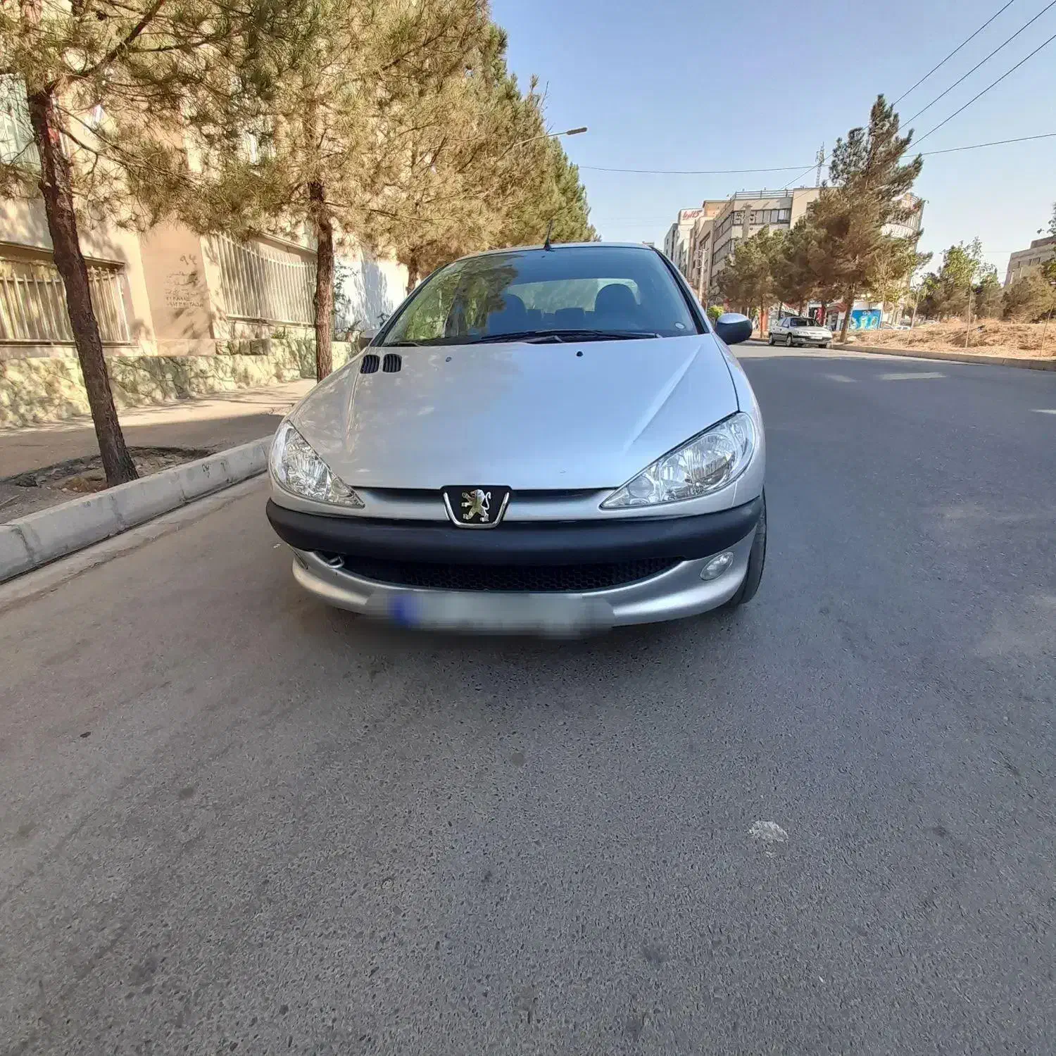 206 sd مدل ۹۴ بدون رنگ|خودرو سواری و وانت|کرج, گوهردشت|دیوار