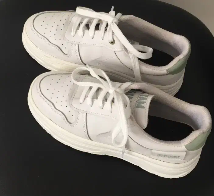 کفش|کیف، کفش، کمربند|مشهد, سجاد شهر|دیوار