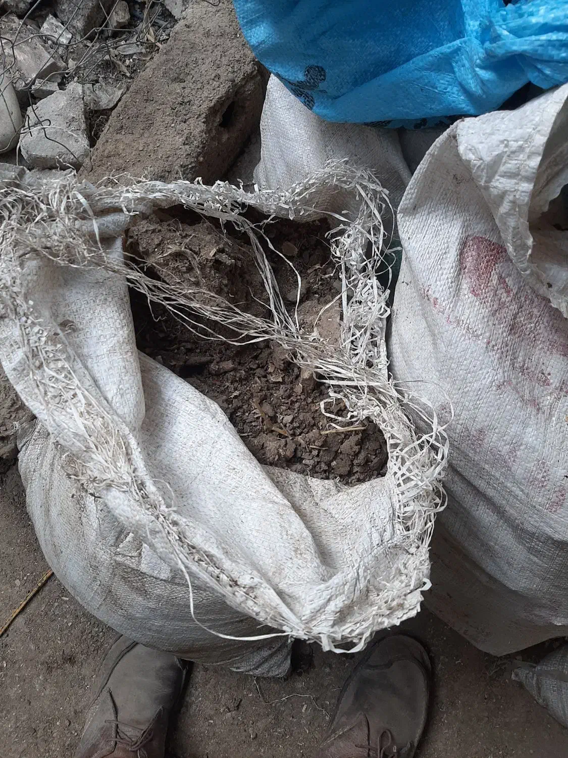 کود خالص مرغ محلی خانگی|خدمات باغبانی و درختکاری|ساری, |دیوار