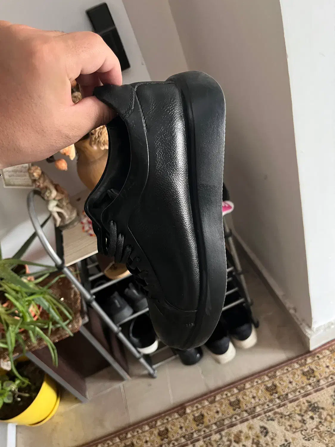 ونس چرم تبریز|کیف، کفش، کمربند|اردبیل, |دیوار