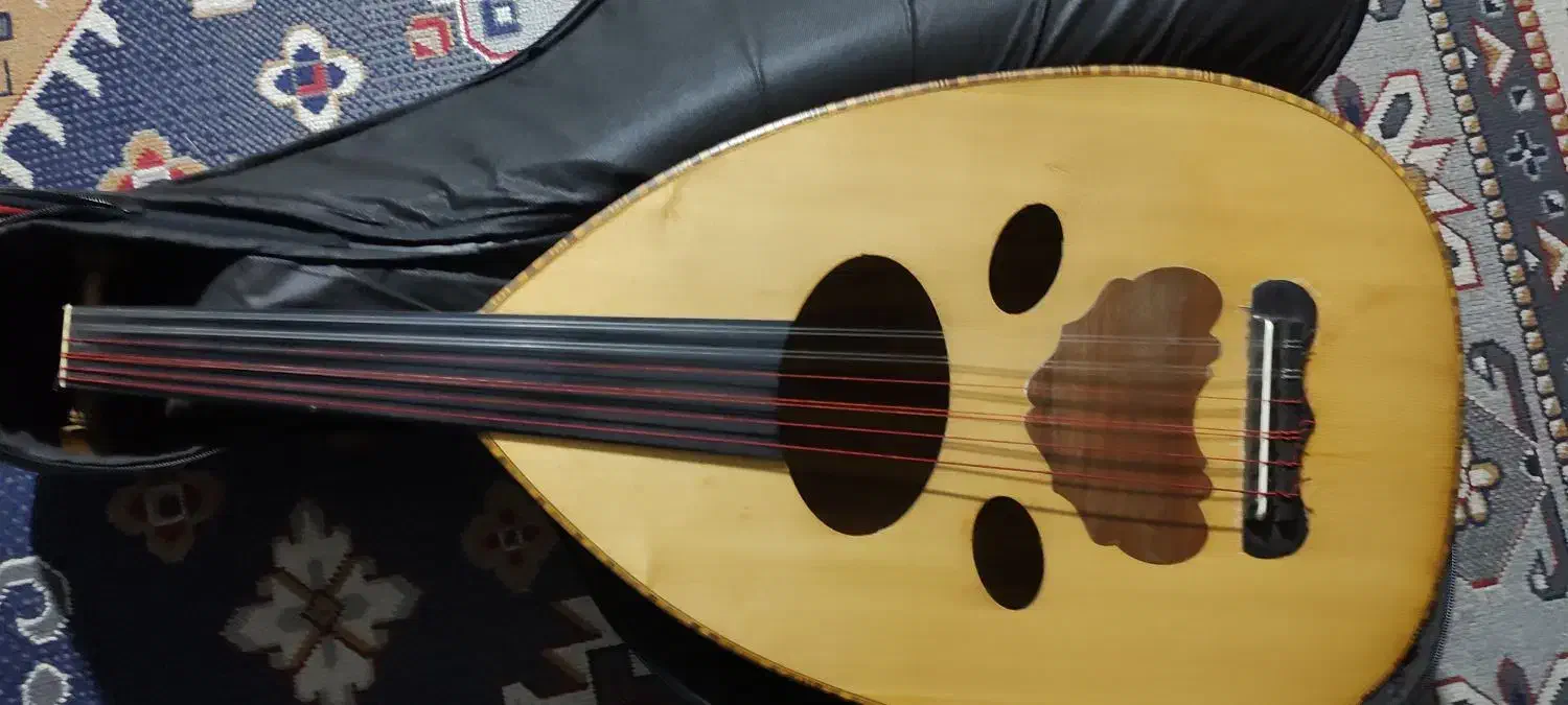 عود زریاب|سازهای سنتی|بندرعباس, |دیوار