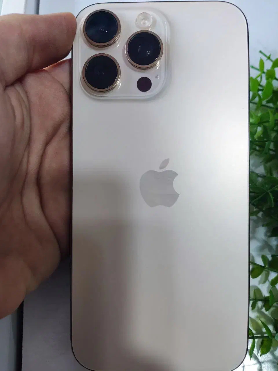 16promax|موبایل|ارومیه, |دیوار